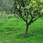 Greece - Holidays & Long - 2 * Tolofón