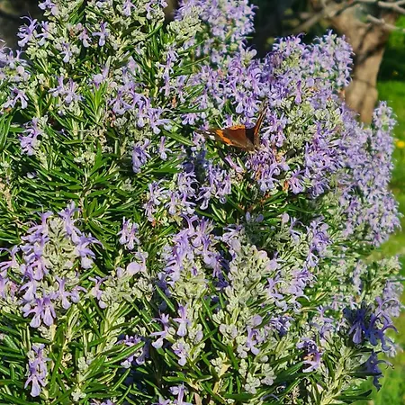 Greece - Holidays & Long - 2