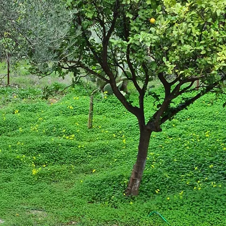 Greece - Holidays & Long - 2 * Tolofon