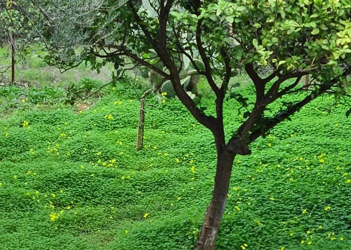 Greece - Holidays & Long - 2 * Tolofon